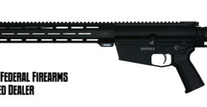 22250 AR10 rifle